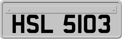 HSL5103