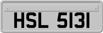HSL5131