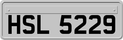 HSL5229
