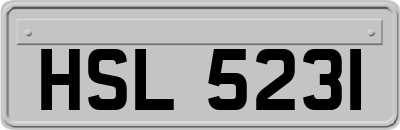 HSL5231