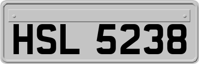 HSL5238