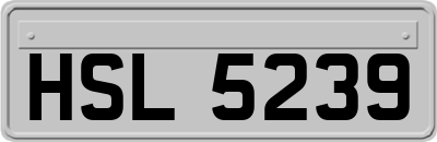 HSL5239
