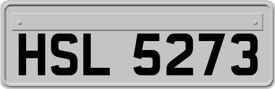 HSL5273
