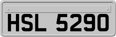HSL5290