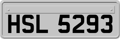 HSL5293
