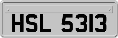 HSL5313