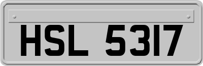 HSL5317