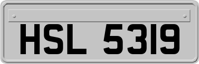 HSL5319