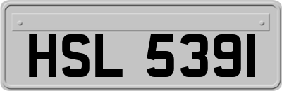 HSL5391