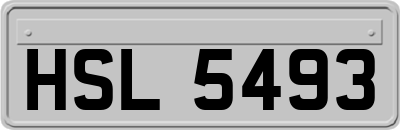 HSL5493