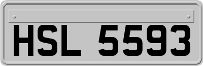 HSL5593