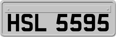HSL5595