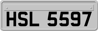 HSL5597