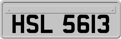 HSL5613
