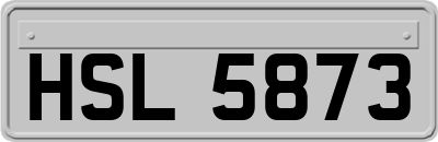 HSL5873