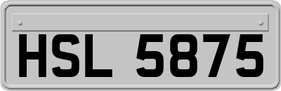 HSL5875