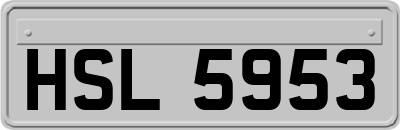 HSL5953