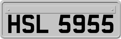 HSL5955