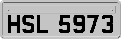 HSL5973