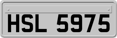 HSL5975