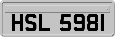 HSL5981