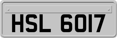HSL6017