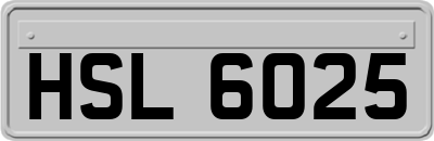 HSL6025