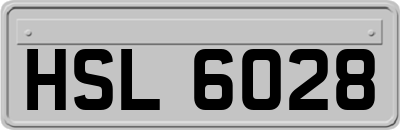 HSL6028