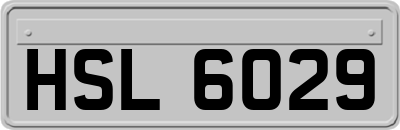 HSL6029
