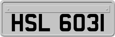 HSL6031