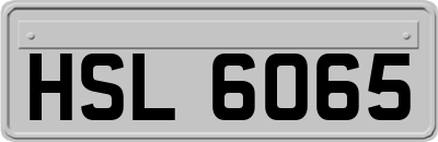 HSL6065