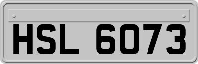 HSL6073