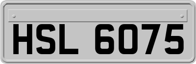 HSL6075