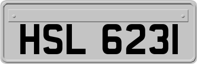 HSL6231