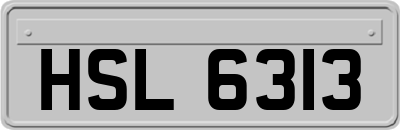 HSL6313