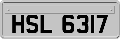 HSL6317
