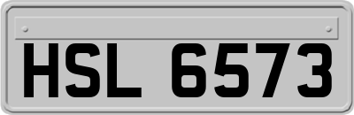 HSL6573