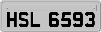 HSL6593