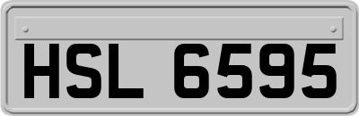 HSL6595
