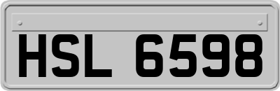 HSL6598