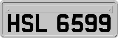 HSL6599