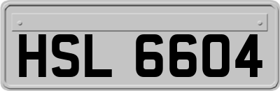 HSL6604