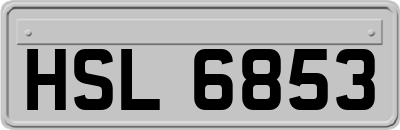 HSL6853