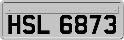 HSL6873