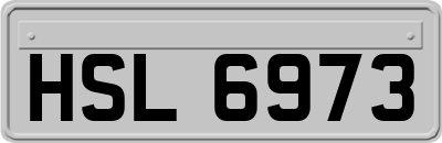 HSL6973
