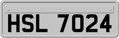 HSL7024