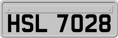 HSL7028
