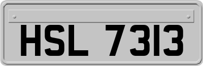 HSL7313