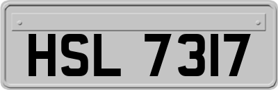 HSL7317