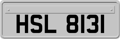 HSL8131
